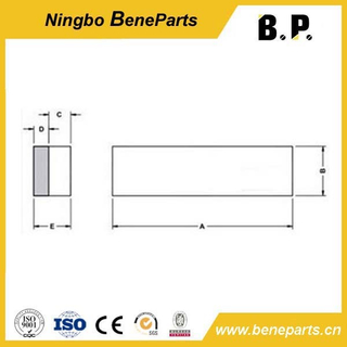 Bucket Wear Protector DLP-160 Standard Wear Bar